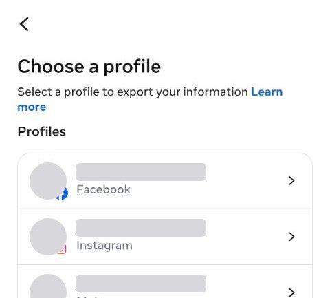 The top of a list of profiles, showing the Facebook and Instagram rows in full. The Instagram row is ringed. Names and photos are redacted.